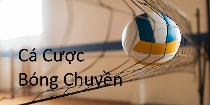 Bóng Chuyền mang đến những trải nghiệm đầu tư thú vị